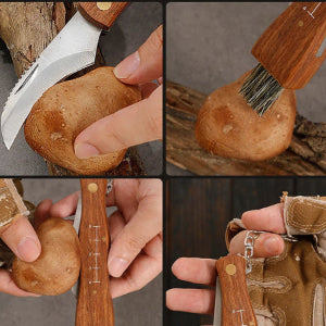 collage of brown mushrooms being sized, cut and cleaned with a brush