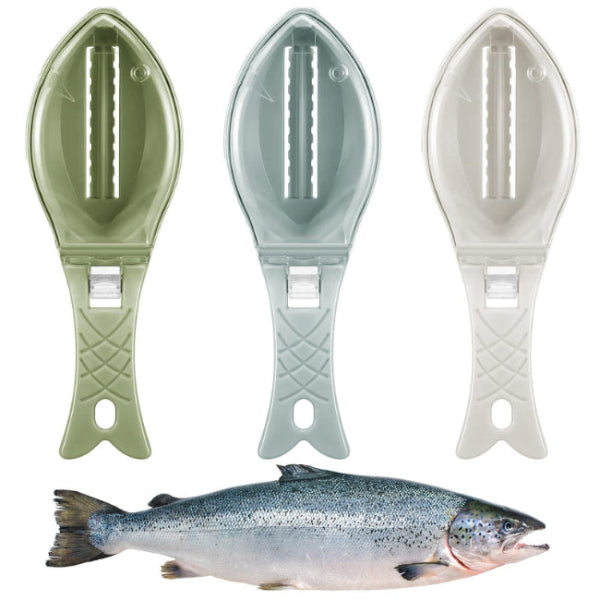 green blue and white fish de-scalers with a fish at the bottom