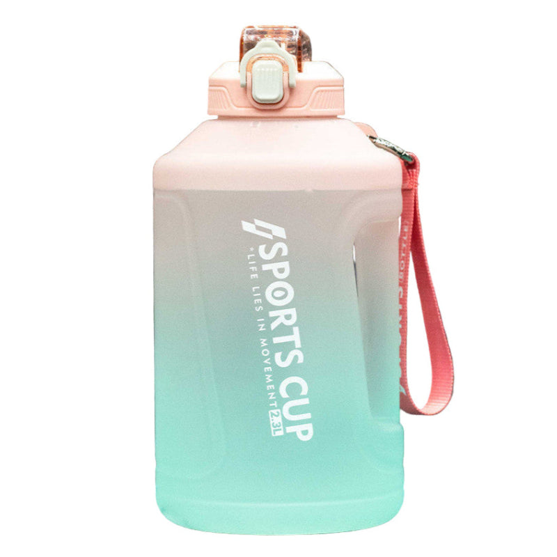 Gradient pink to green sports cup with a handle on a white background